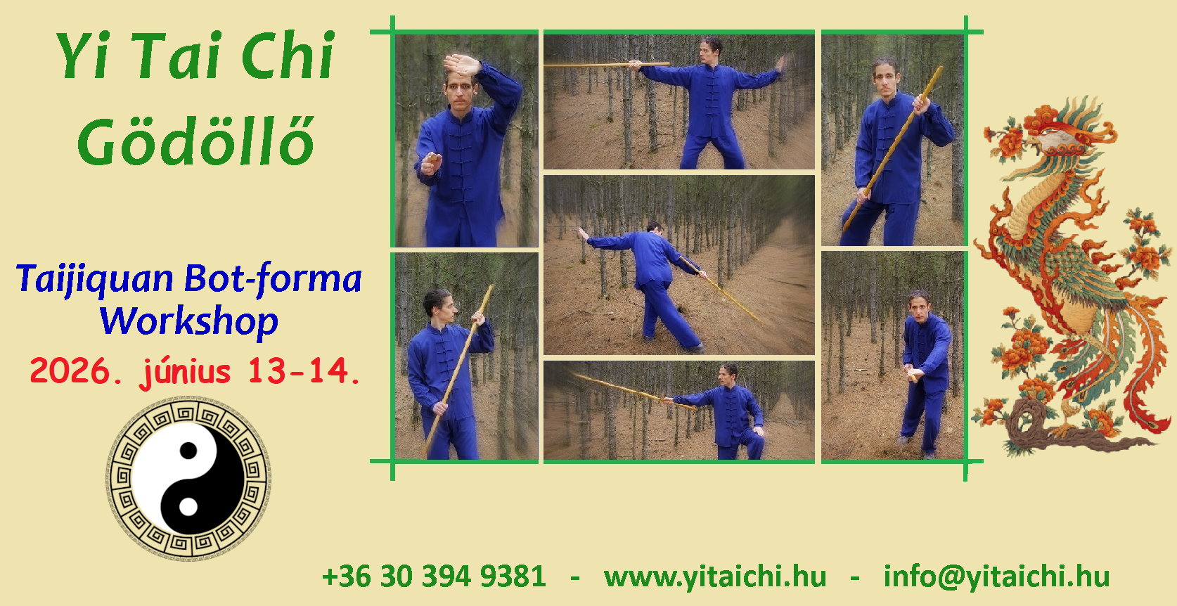 Yi Tai Chi botforma workshop 2026 Tarján Krisztián